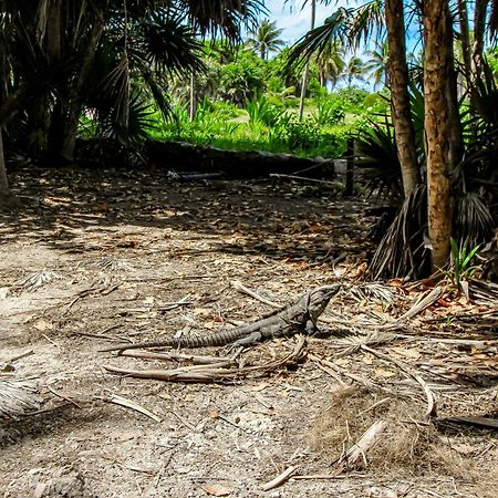 Miraluna 233 At Luum Zama Tulum Eksteriør billede